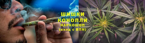 молекула духа Белоозёрский
