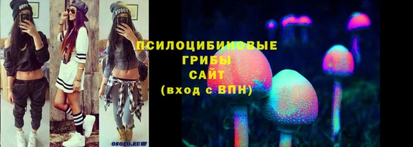 молекула духа Белоозёрский