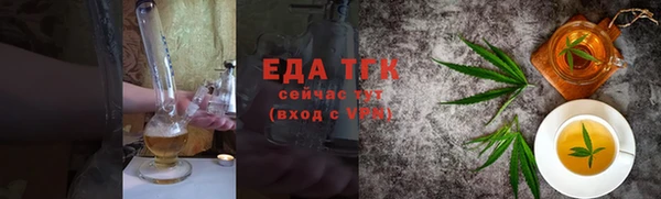 индика Заводоуковск