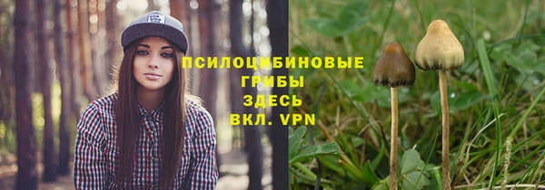 спайс Беломорск
