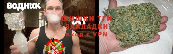 молекула духа Белоозёрский