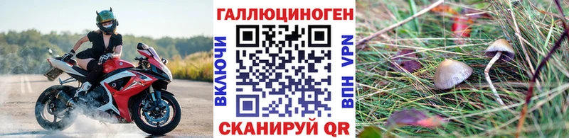цена   Саяногорск  Псилоцибиновые грибы MAGIC MUSHROOMS 